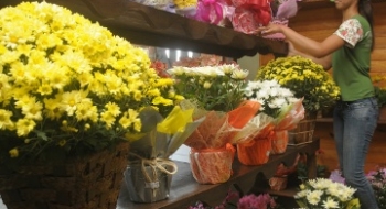 Variação entre menor e maior preço de flores em Goiânia chega a 160%